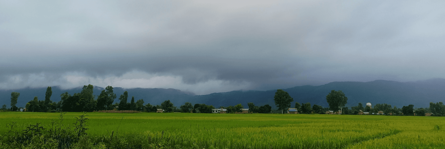 View of my place